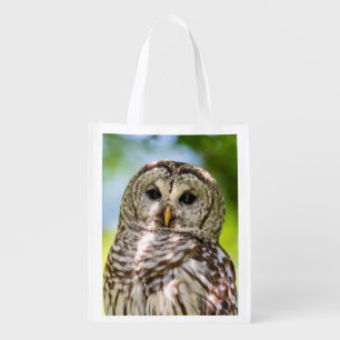 Barred Owl of the Hudson Valley – Nature & Wildlif Grocery Bag