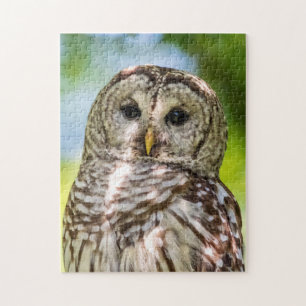 Barred Owl of the Hudson Valley – Nature & Wildlif Jigsaw Puzzle