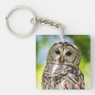 Barred Owl of the Hudson Valley – Nature & Wildlif Keychain
