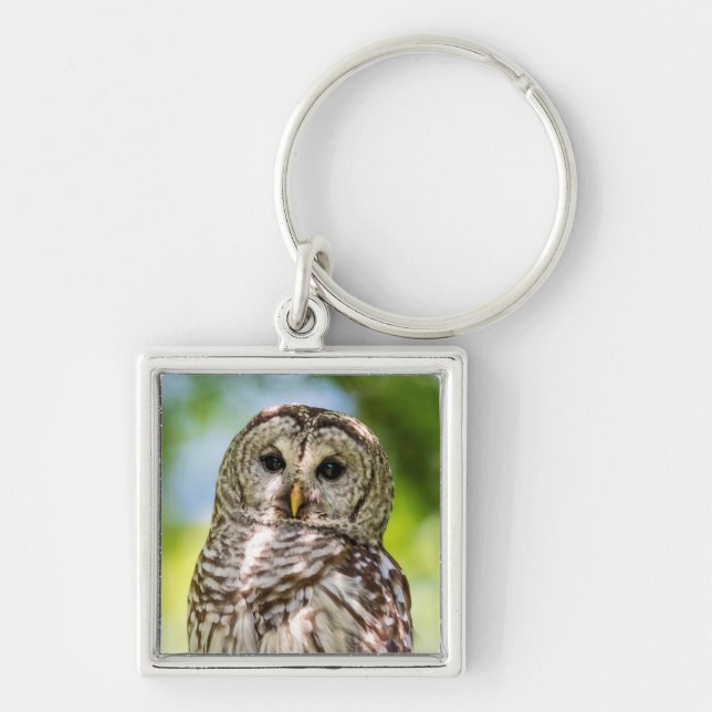 Barred Owl of the Hudson Valley – Nature & Wildlif Keychain (Front)