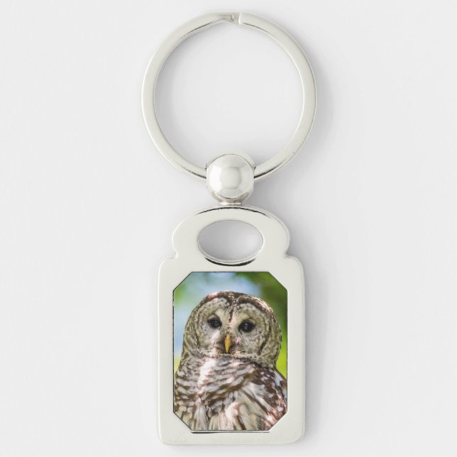 Barred Owl of the Hudson Valley – Nature & Wildlif Keychain (Front)