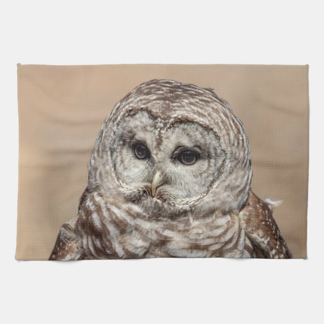 Barred Owl of the Hudson Valley – Nature & Wildlif Kitchen Towel (Horizontal)