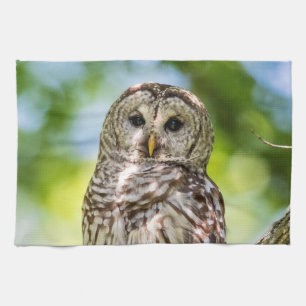 Barred Owl of the Hudson Valley – Nature & Wildlif Kitchen Towel