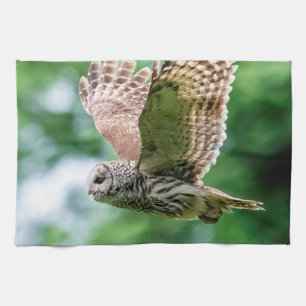 Barred Owl of the Hudson Valley – Nature & Wildlif Kitchen Towel