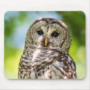Barred Owl of the Hudson Valley – Nature & Wildlif Mouse Pad
