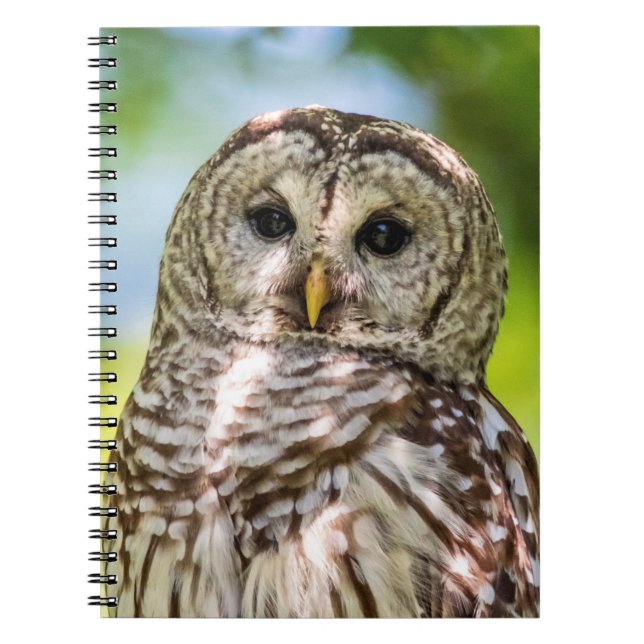 Barred Owl of the Hudson Valley – Nature & Wildlif Notebook (Front)