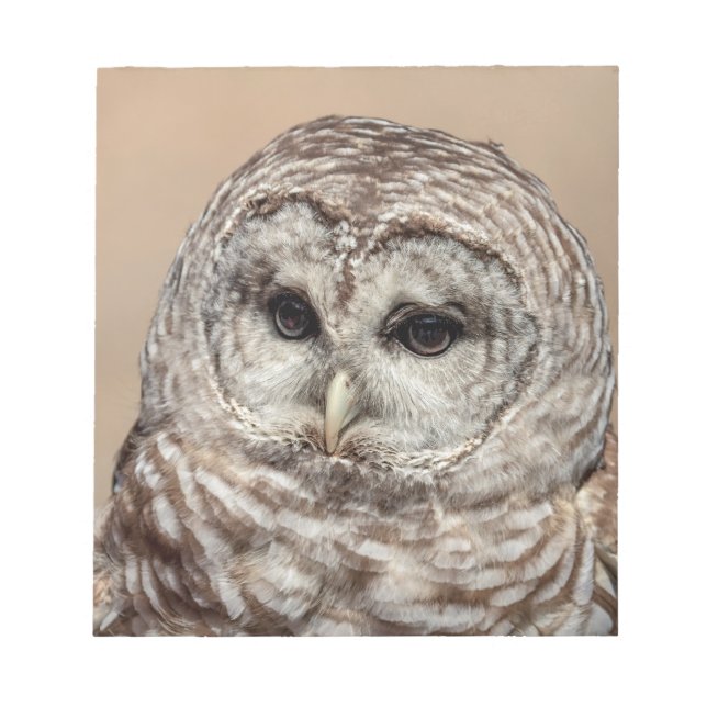 Barred Owl of the Hudson Valley – Nature & Wildlif Notepad (Front)