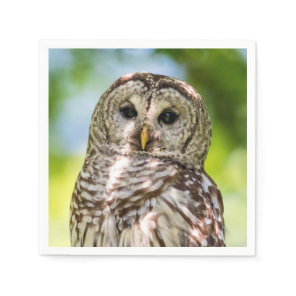 Barred Owl of the Hudson Valley – Nature & Wildlif Paper Napkins