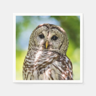 Barred Owl of the Hudson Valley – Nature & Wildlif Paper Napkins