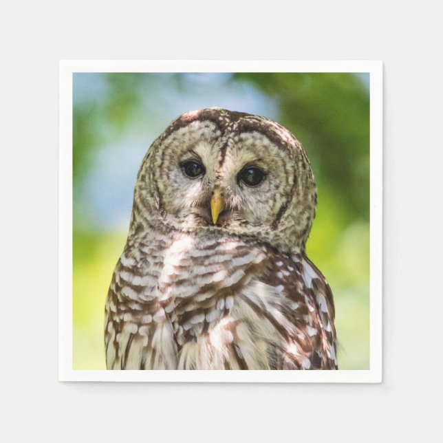 Barred Owl of the Hudson Valley – Nature & Wildlif Paper Napkins (Front)