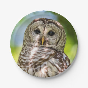 Barred Owl of the Hudson Valley – Nature & Wildlif Paper Plates