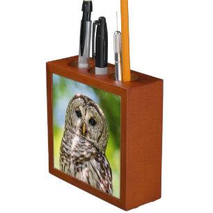 Barred Owl of the Hudson Valley – Nature & Wildlif Pencil/Pen Holder