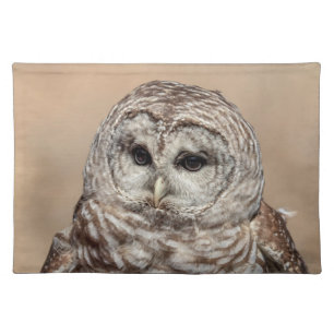 Barred Owl of the Hudson Valley – Nature & Wildlif Placemat