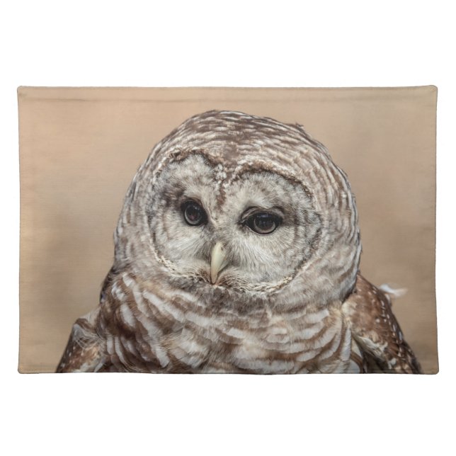 Barred Owl of the Hudson Valley – Nature & Wildlif Placemat (Front)
