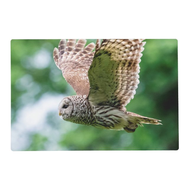 Barred Owl of the Hudson Valley – Nature & Wildlif Placemat (Front)