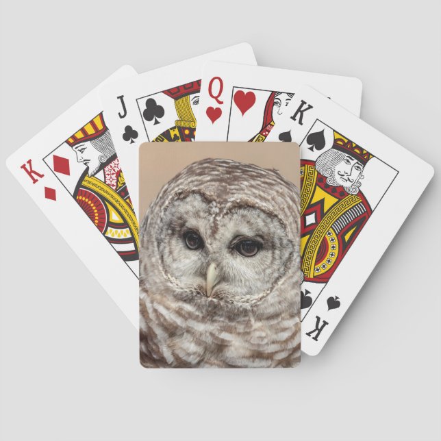 Barred Owl of the Hudson Valley – Nature & Wildlif Poker Cards (Back)