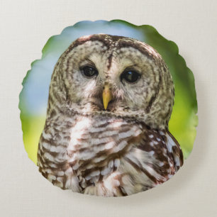 Barred Owl of the Hudson Valley – Nature & Wildlif Round Pillow