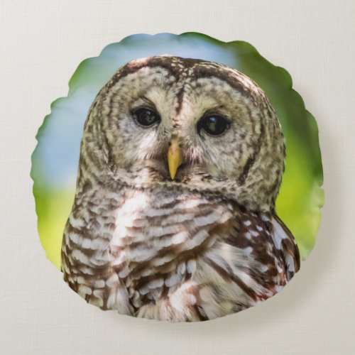 Barred Owl of the Hudson Valley – Nature & Wildlif Round Pillow