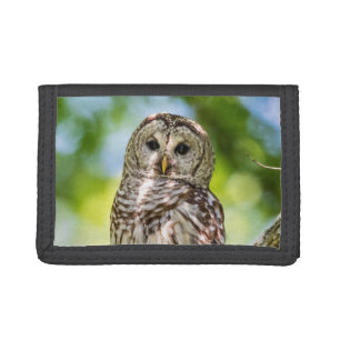 Barred Owl of the Hudson Valley – Nature & Wildlif Tri-fold Wallet