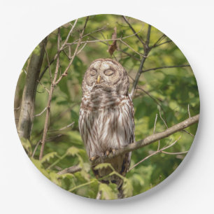 Barred Owl of the Hudson Valley Paper Plates