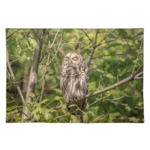 Barred Owl of the Hudson Valley Placemat