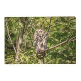 Barred Owl of the Hudson Valley Placemat