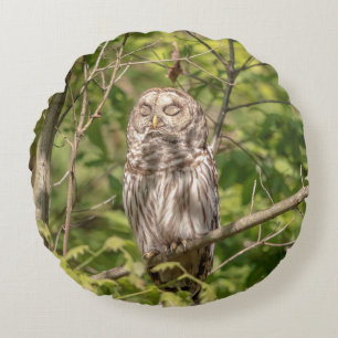 Barred Owl of the Hudson Valley Round Pillow
