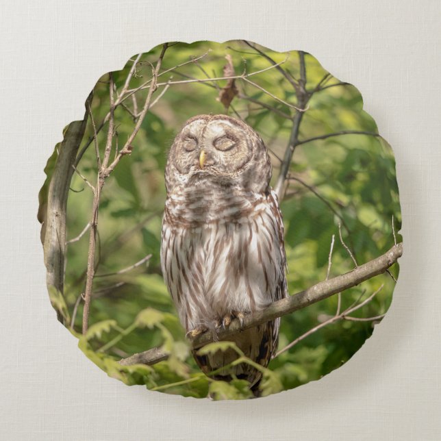 Barred Owl of the Hudson Valley Round Pillow (Front)