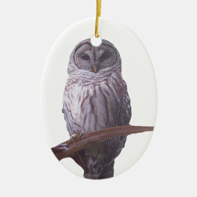 Barred Owl Ornament (Front)