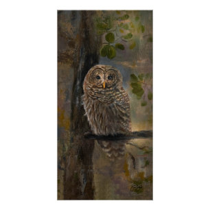 Barred Owl Painting 14 x 28 Poster