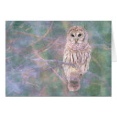 Barred Owl Pastel Oilpainting (Front Horizontal)