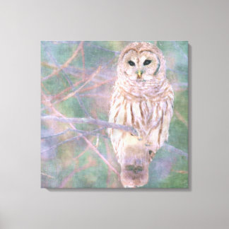 Barred Owl Pastel Oilpainting Canvas Print