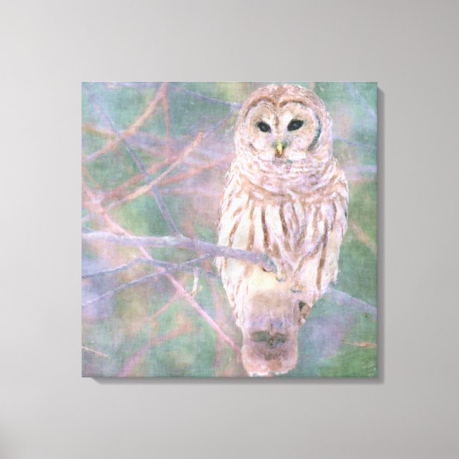 Barred Owl Pastel Oilpainting Canvas Print (Front)
