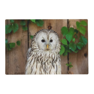 Barred Owl Placemat