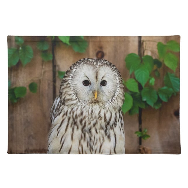 Barred Owl Placemat (Front)