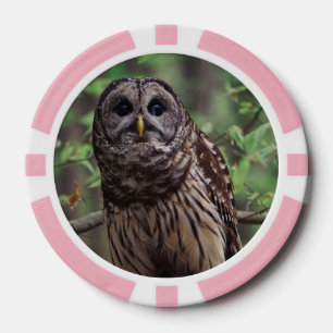 Barred Owl Poker Chips