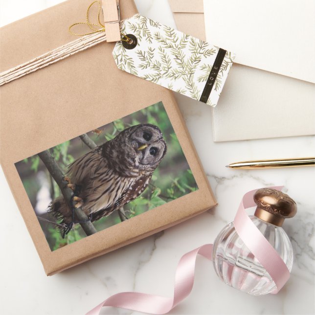 Barred Owl Rectangular Sticker (Gifting)