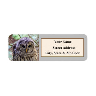 Barred Owl Return Address Labels
