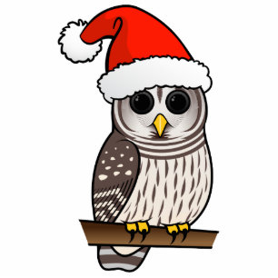 Barred Owl Santa Cutout