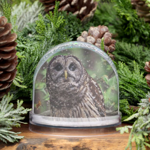 Barred Owl Snow Globe