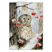 Barred owl snow winter (Front)