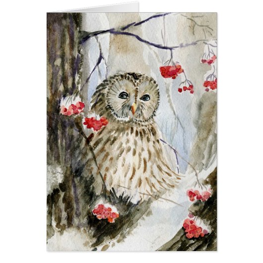 Barred owl snow winter cards (Front)