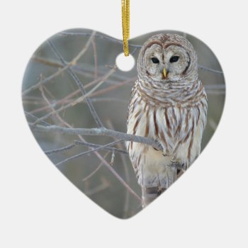 Barred Owl Strix Varia Ceramic Ornament by EnhancedImages at Zazzle