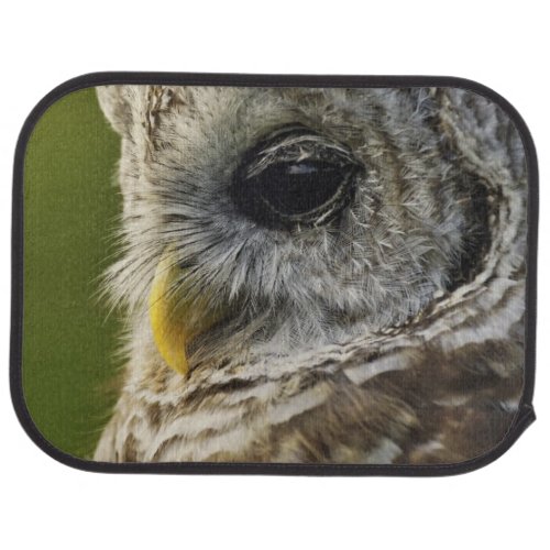 Barred Owl Strix varia Michigan Car Mat