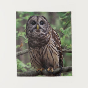Barred Owl Tapestry