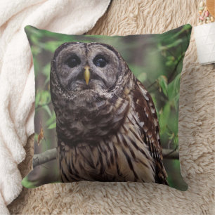Barred Owl Throw Pillow