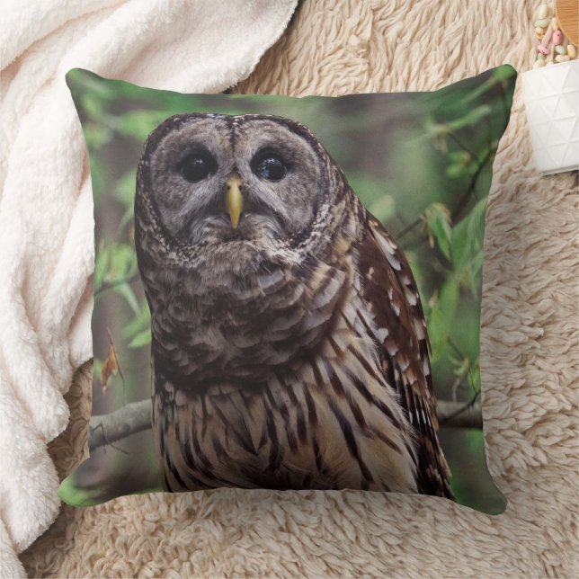 Barred Owl Throw Pillow (Blanket)