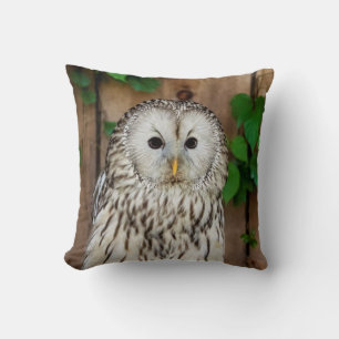Barred Owl Throw Pillow