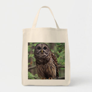 Barred Owl Tote Bag
