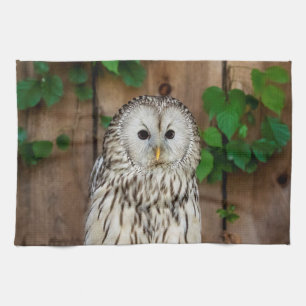 Barred Owl Towel